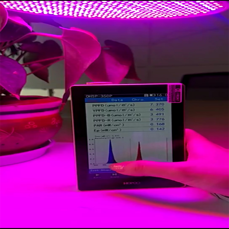 PAR PPFD umol/m2/s OHSP350P Handheld Spectrometer CCT CRI for Agriculture application