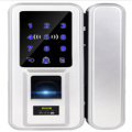 /company-info/665865/access-control-system/evdtf5239y-glass-door-fingerprint-code-card-lock-57044016.html