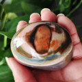 Natural stone Marine palm healing crystals Decorative collection stones and crystals