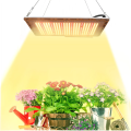 120W LED Grow Light Quantum LED Board