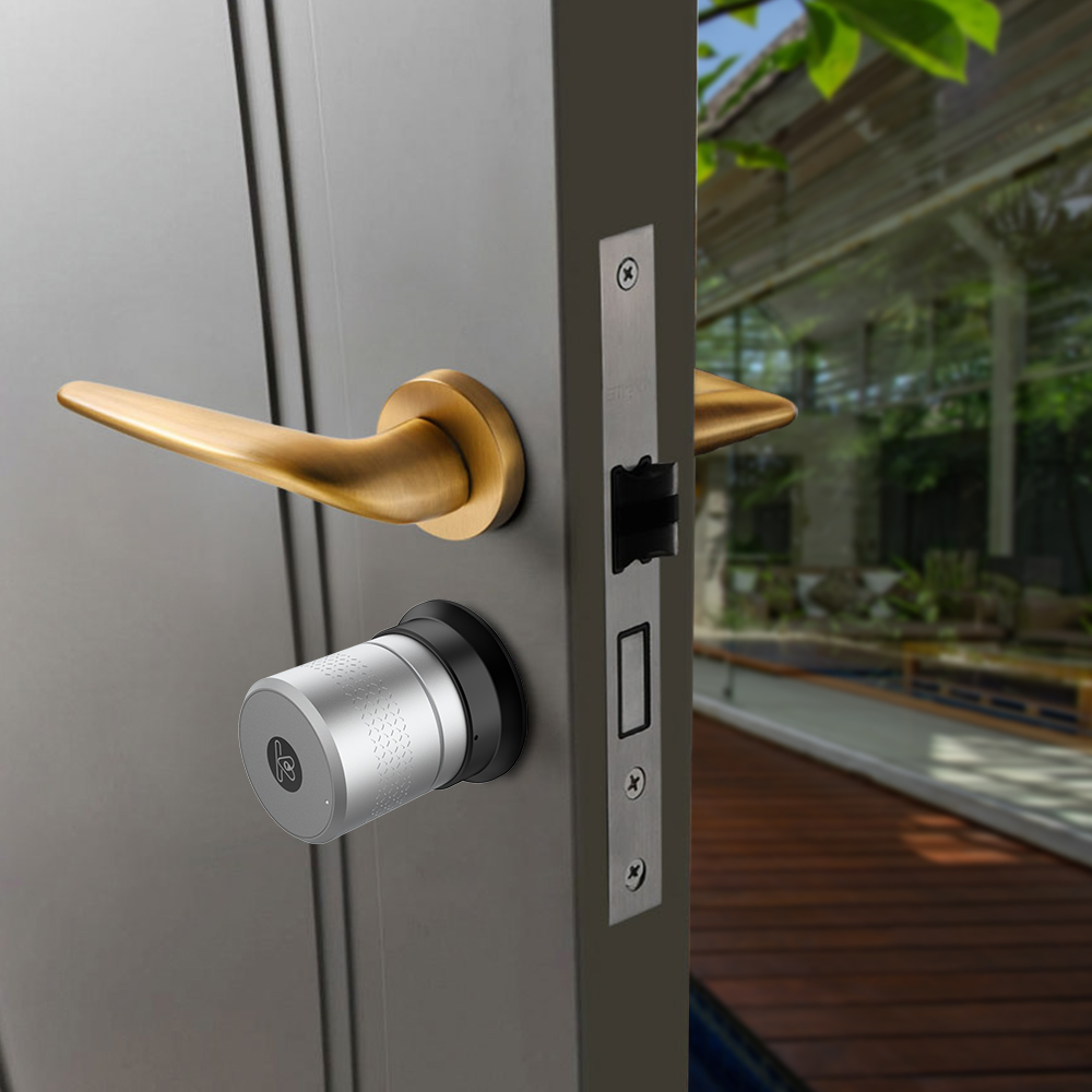Airbnk European Style M530 fingerprint lock door Wifi/Bluetooth/key pad/biometric smart lock for office/hotel/apartment deadbolt