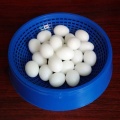 5pcs/lot Pigeon False Eggs Filled Plastic Simulation For Hatch Breeding Supplies