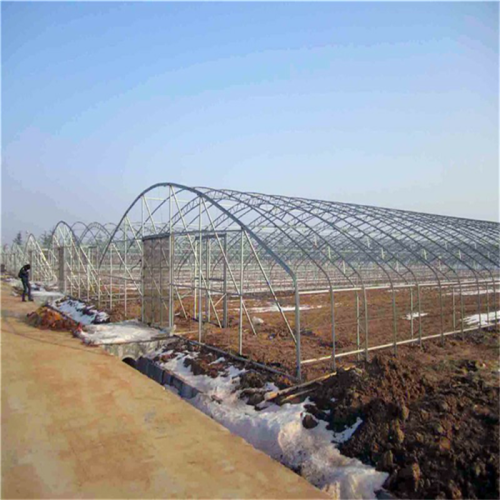 Economic PE Film Horticultural Greenhouse Manufacturers and Economic PE Film Horticultural Greenhouse Suppliers