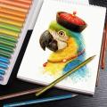Brutfuner 48/72/120/160/180Color Professional Oil Color Pencils Wood Sketching Colored Pencil School Art Supplies