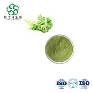 Chinese Kale Extract Green Solution Kale Extract Powder