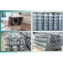 Good Wire Mesh Fence Withstand Voltage High Quality