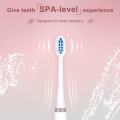 Sonic Electric Toothbrush Men And Women Adult Household Non-Rechargeable Soft Fully Automatic Waterproof Couples Sonic Toothbru