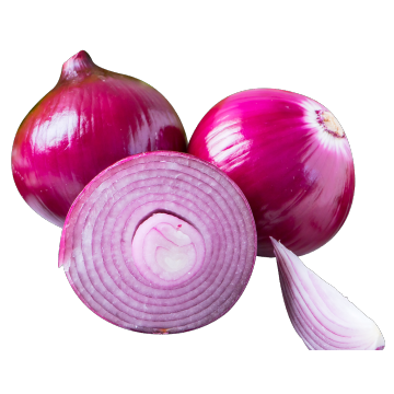 Premium Yuanmou Onion Wholesale