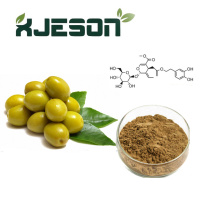Olive Leaf Extract Oleuropein