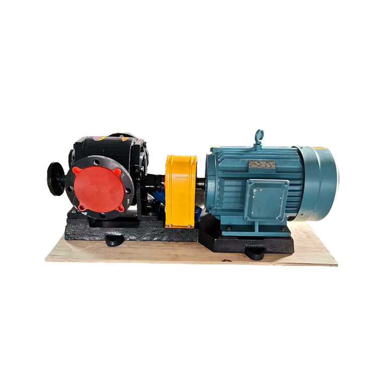 Wqcb High Quality Jacket Insulation Pump Stainless Steel Resin Pump Asphalt Gear Pump2