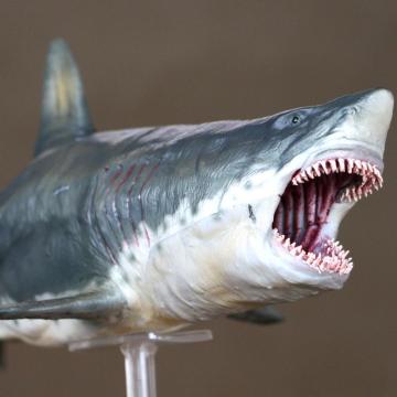 PNSO Ancient Marine Llife Megalodon Movie The Meg archetype 32cm 1:35