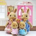 Brown Rabbit Family