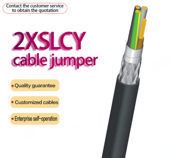 2YSL(ST)CYv-J