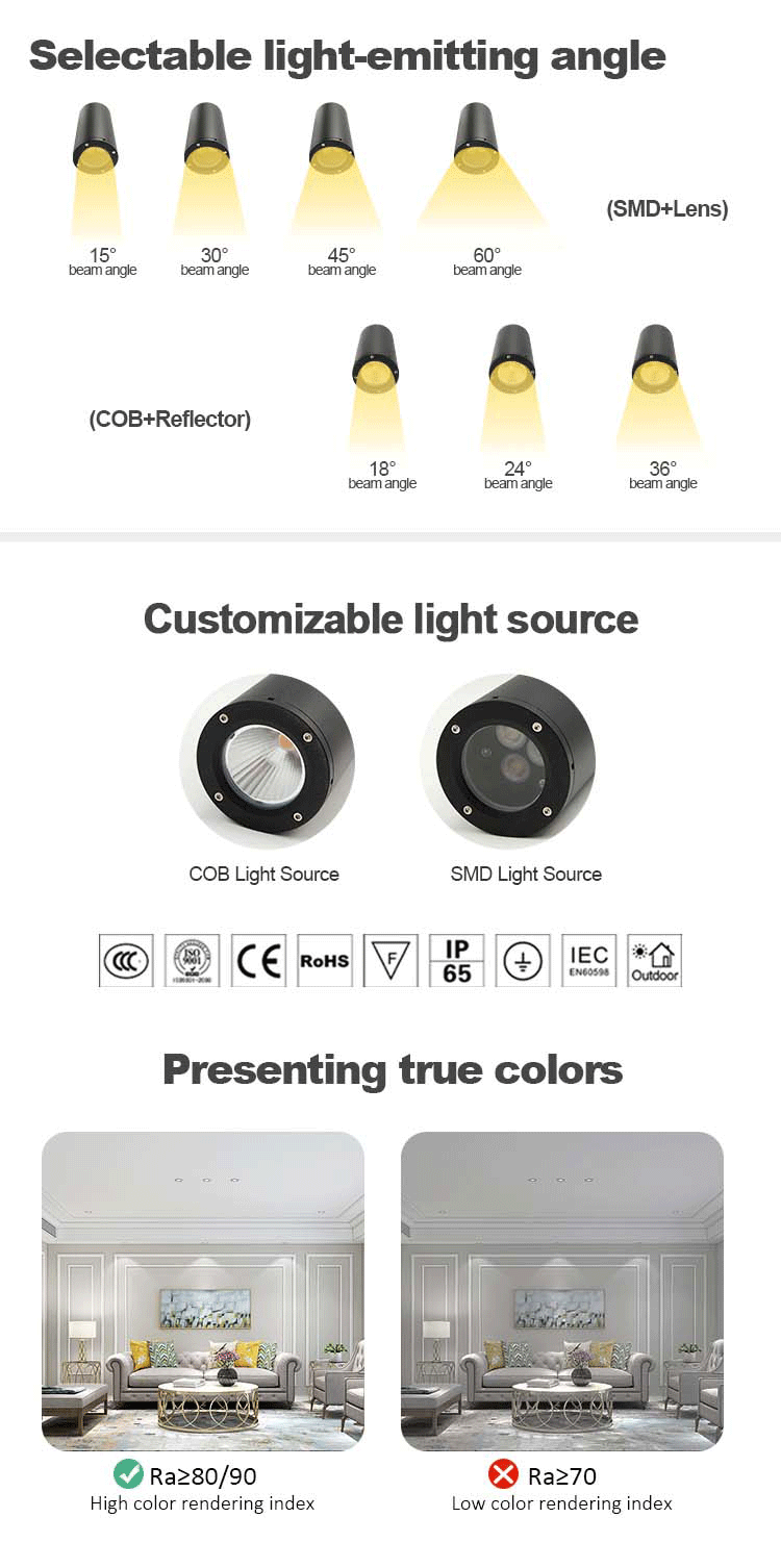 surface mounted ip65 downlight