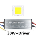 30W and Driver