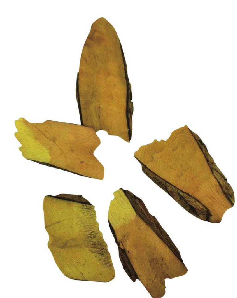 Antifeverile Dichros (3)
