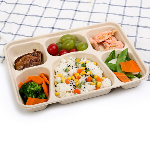 Suppliers for 100% Compostable Sugarcane pulp Lunch Box