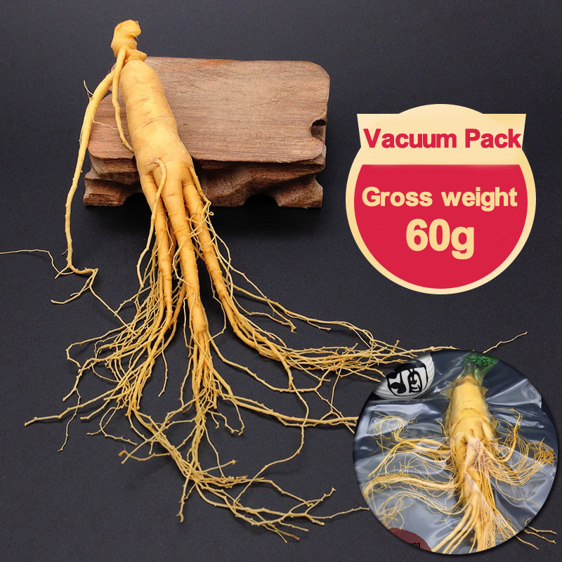Top Grade Fresh Ginseng Root Vacuum Pack Panax Fresh Ginseng Root