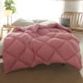 Pure Color Winter Quilt Duvet 1.5~3kg Weigte Down Quilt Duvet King Queen Twin Size Very Warm Winter Blanket Comforter Filler