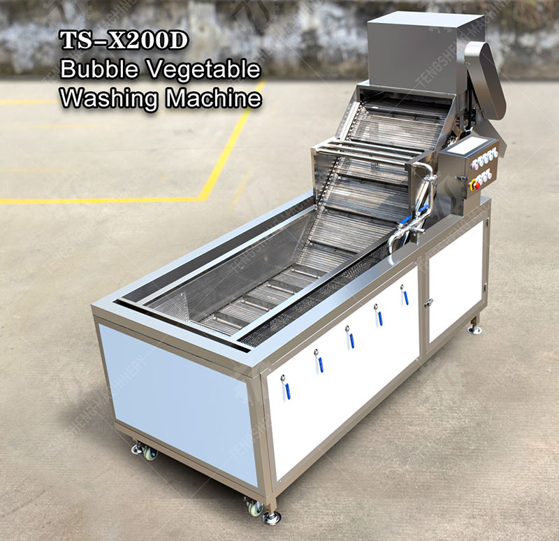 vegetable washing machine