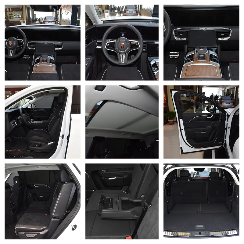 New Energy Vehicle Hongqi E Hs9