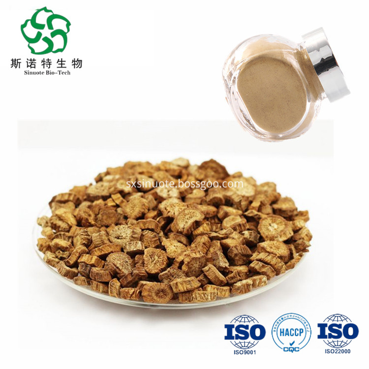 Burdock Root Extract