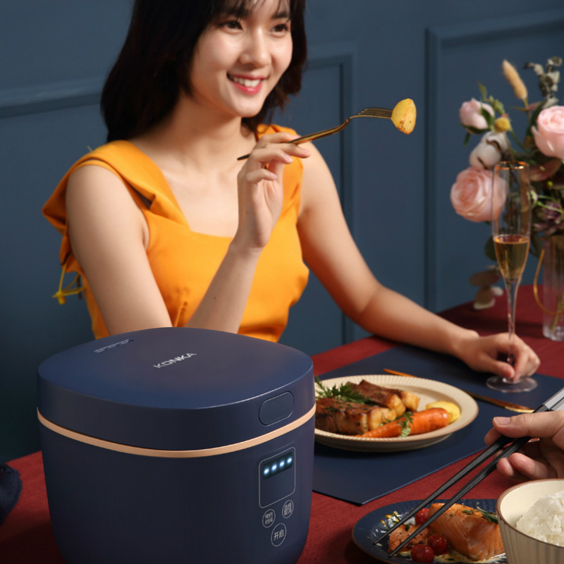 220V 2L Household Smart Mini Rice Cooker Multi-Function Small Rice Cooker Electric Cooker Rice Steamer