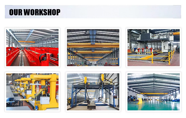 LDC Overhead Crane05