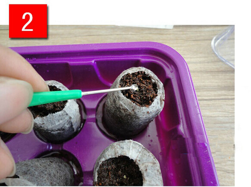 5PCS 30mm Nursery mud Compressed nutrient block Nursery Soil Block Garden Flowers Planting Seedlings Peat Cultivate Block