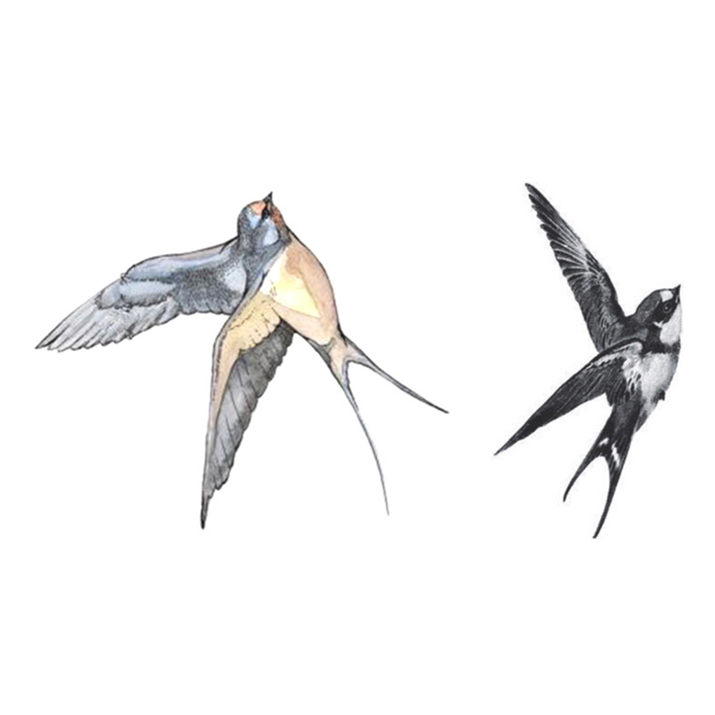 Fly Swallows Birds Design Body Art Tattoo Girl Men Women Arm Leg Wrist Foot Hand Temporary Sticker