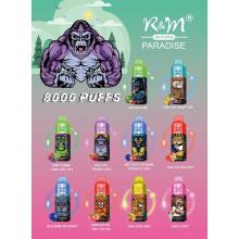 Wholesale RGB Flash Light R&M Paradise 8000puffs USA