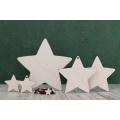 Wooden Star Shape r Plywood, Wooden Openwork Shape, Gift Tag Ornament, Easter Label Ornament