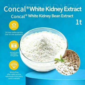 White Kidney Bean Extract Good Fluidity 1t
