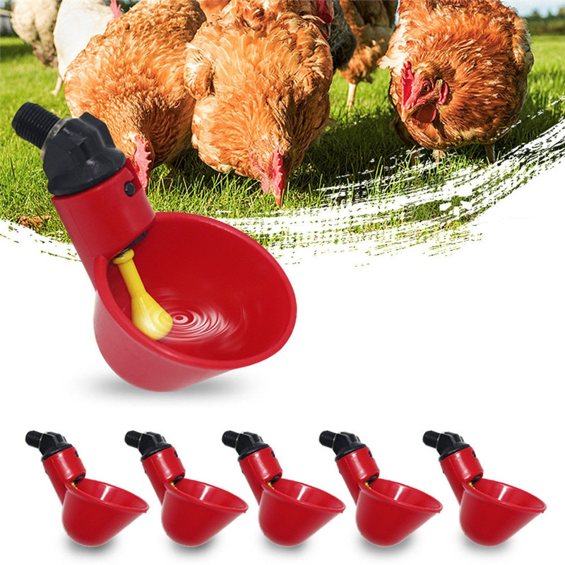 5Pcs Feed Automatic Bird Coop Poultry Chicken Feeder Fowl Drinker Water Drinking Cups Livestock Feeding Bowl Watering Peck Cup