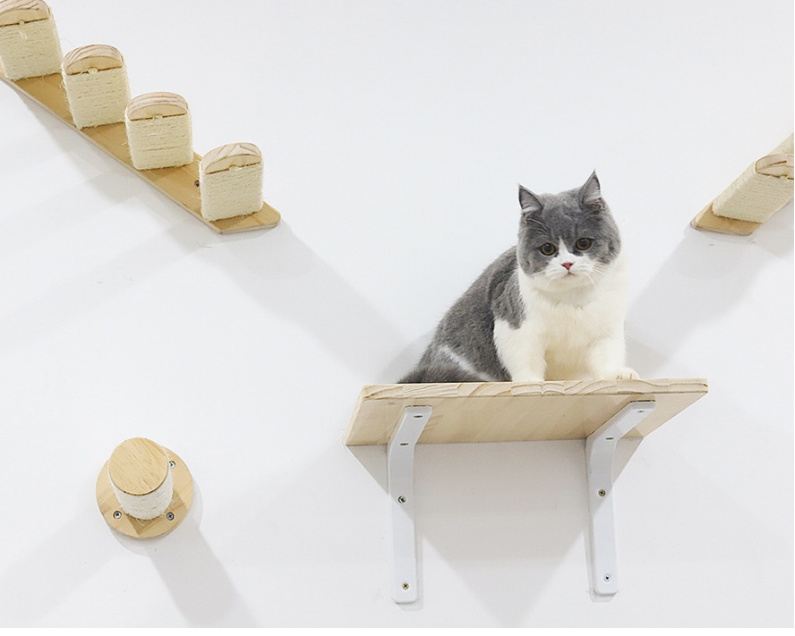 Cat Climbing Rack Png