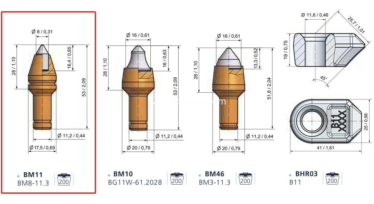BM11 teeth 