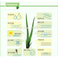 Aloe Vera Gel Anti Acne Moisturizing Anti-inflammatory Anti Mosquito Bites Skin Damage Repair