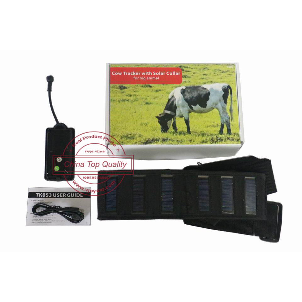 4G 3G 2G Big Rechargeable Battery & Solar Collar Cow GPS Tracker For Cattle Calf Dog Horse Camel Animal Smart Farm Management