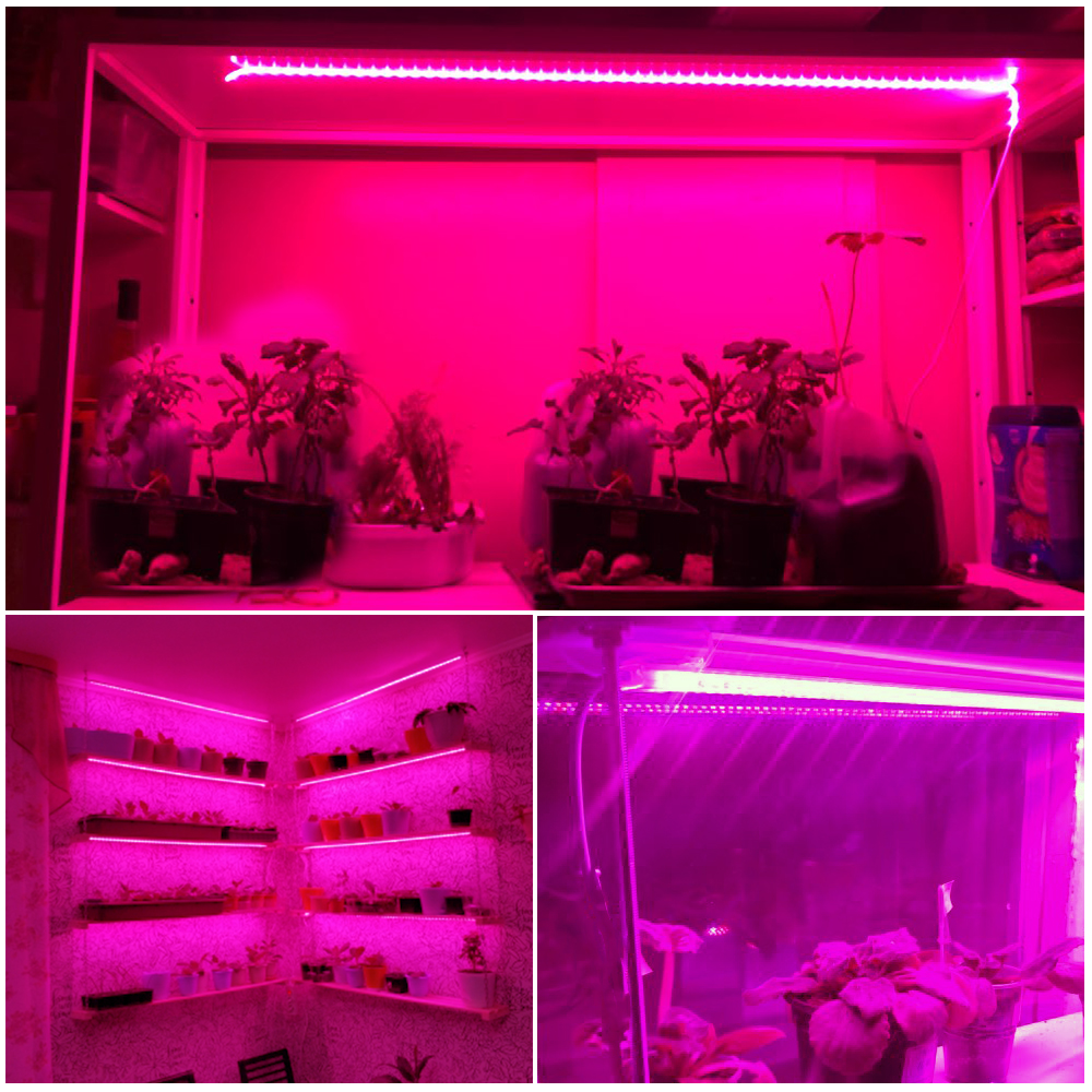 LED Grow Strip Full Spectrum Waterproof AC220V LED Grow Light 2835 LED Phyto lamps For Plants Flowers Greenhouses Hydroponic