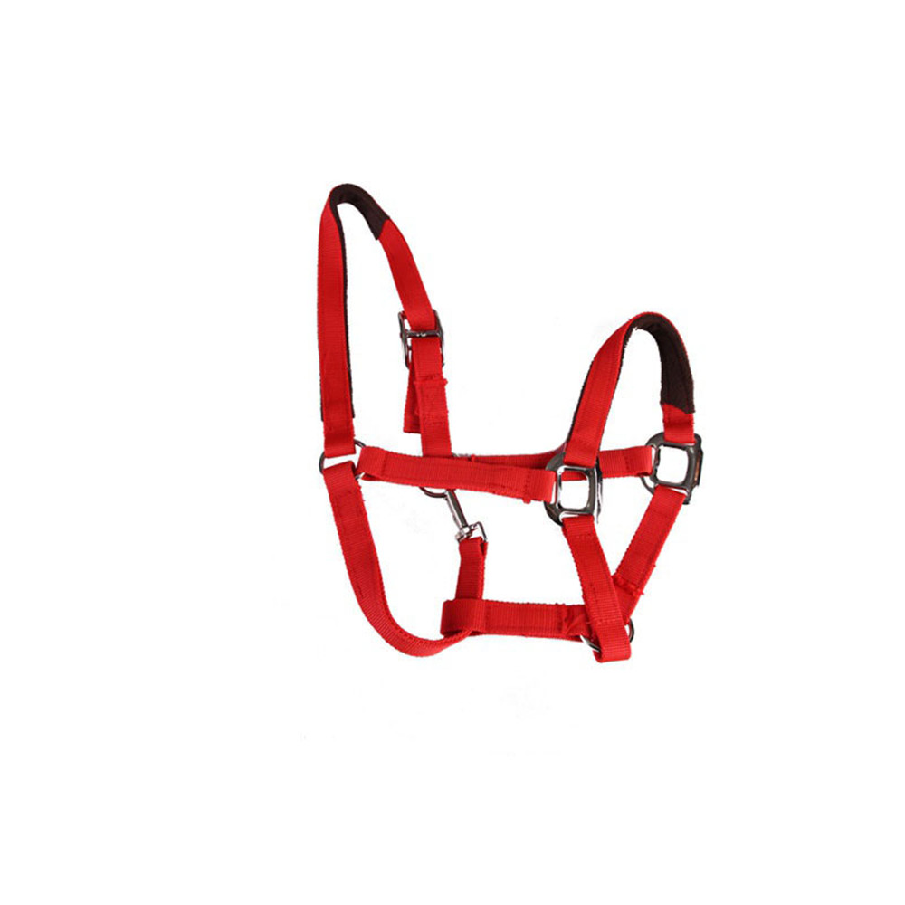 horse halter