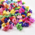 200PCS Dried Flower Head Daizy Glass Cover Nail Art Filling Epoxy Hand Craft DIY