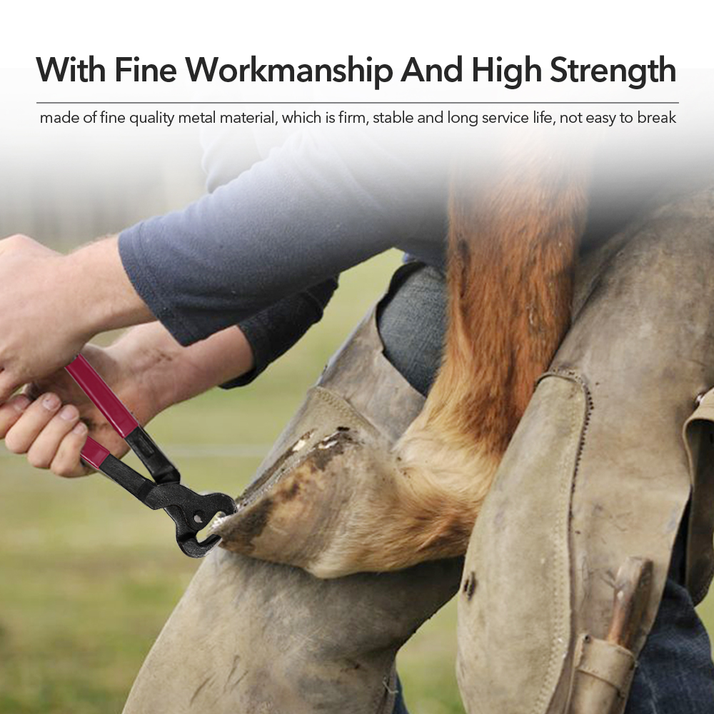 Horse Farrier Hoof Nipper Trim Shoeing File Rasp Handle Hoof Cutter Tool 4pcs / set Horse Care Products Horse Care Accessory