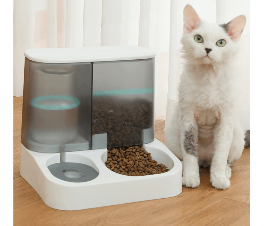 Dog Feeder