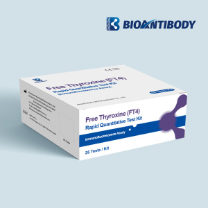 Free Thyroxine Rapid Quantitative Test Kit Immunofluorescence Assay