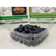 Light Weight Piastic Transparent Blueberry Tub