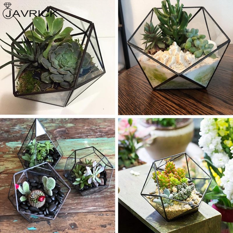 Glass Terrarium Storage Box Jewelry Holder,Glass Geometric Terrarium Tabletop Succulent Plant Box Planter Holder Case