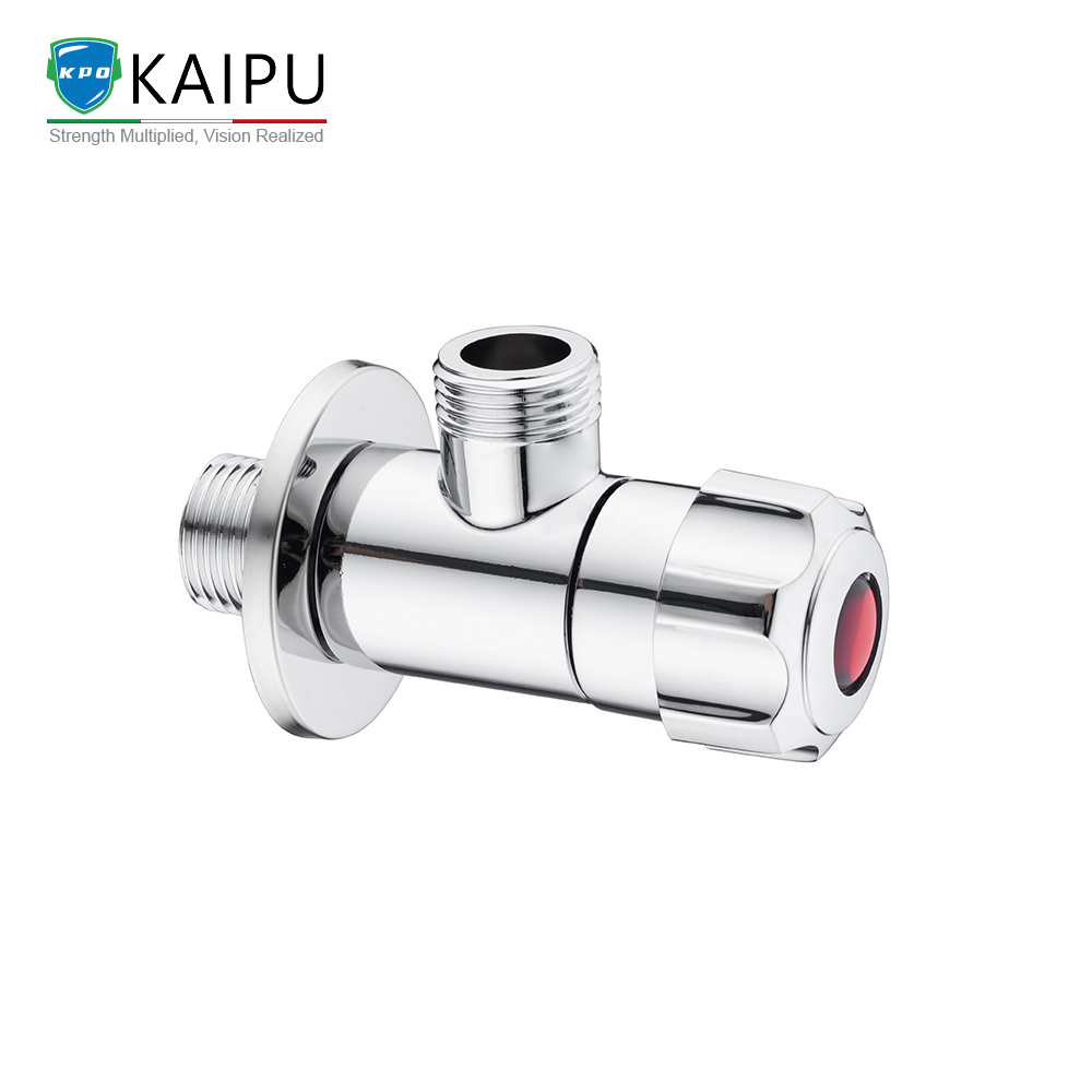 ANGLE VALVE (3)