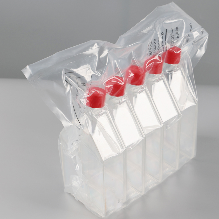 Cell Culture Flask