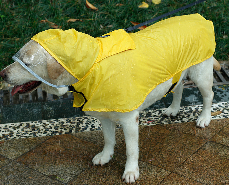 Dog Raincoat With Hood