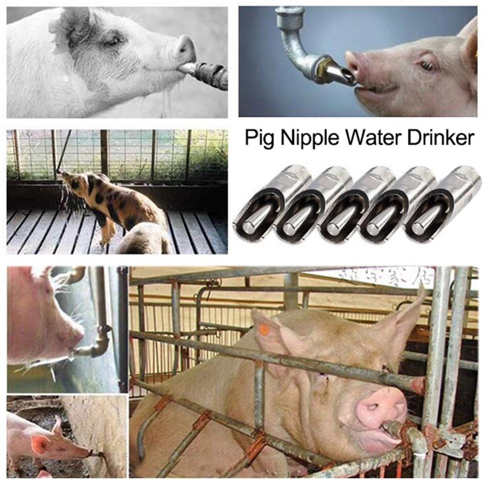 5 pcs Stainless Steel Pig Nipple Automatic Livestock Useful Silver Tone Sheep Waterer Drinker High Quality Pig dirinking water